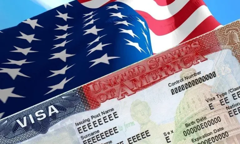 ¿Dónde está el número de visa americana?